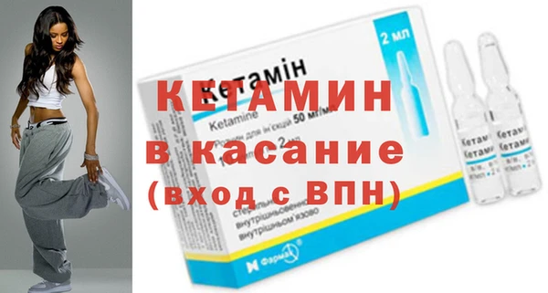 прущие грибы Дмитриев