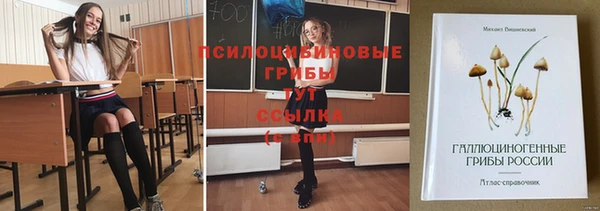 спиды Дмитровск