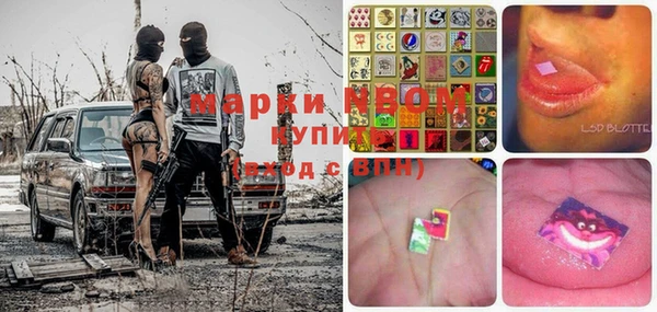 прущие грибы Дмитриев