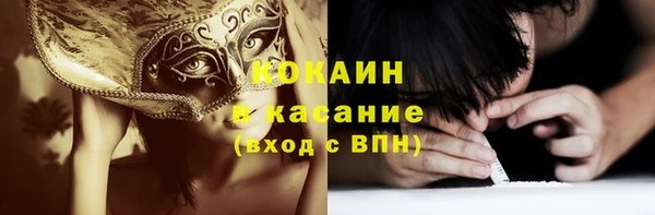 прущие грибы Дмитриев