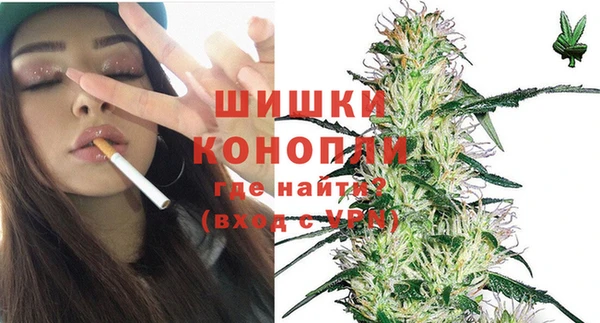прущие грибы Дмитриев