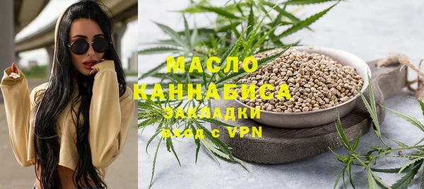 эйфоретик Ельня