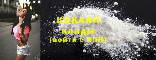 прущие грибы Дмитриев