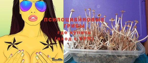 герыч Дмитров