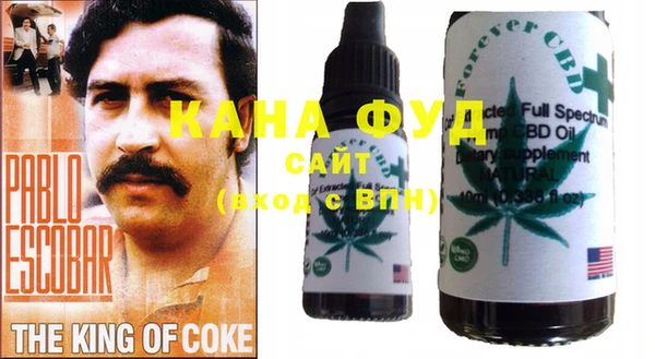 индика Елабуга