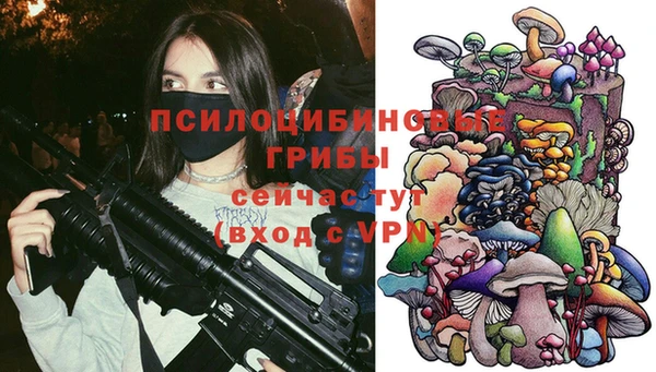герыч Дмитров
