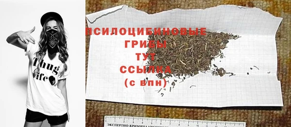 эйфоретик Ельня
