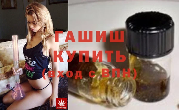 индика Елабуга