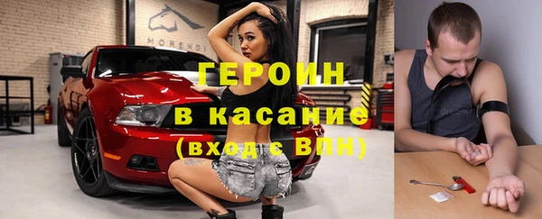 прущие грибы Дмитриев